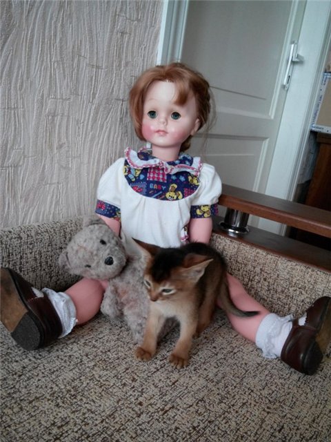 Ирландская красотка — Винтажные куклы ГДР (Немки): Бигги (фото 2)