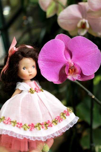 Цветочные феи - Ненси Энн, Диана Эффнер