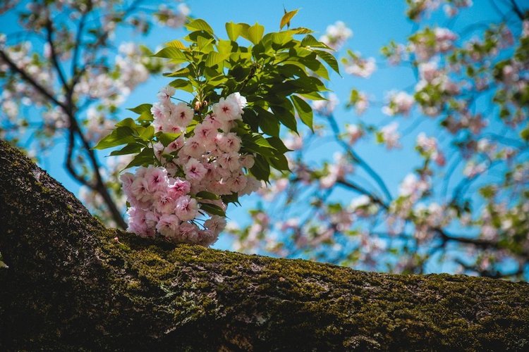 Япония моими глазами (часть 3. Китакюсю и Токио.)