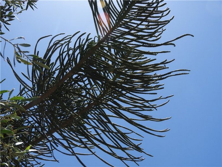 Греция, Крит, путешествие Светланки