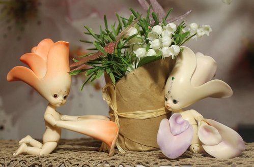 Как мы встречали братишку Гошу! (Цветуля-2). Fairies, Dollzone