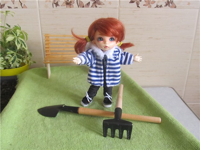 "Мастер-класс" по посадке огорода