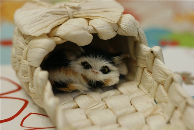 В нашем доме поселился замечательный жилец! Реалпуки Попо (фото 6)