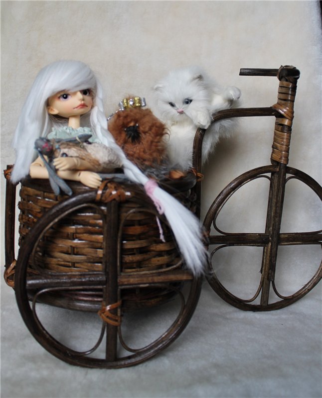 Мини-конкурс "Веселые Велогонки"