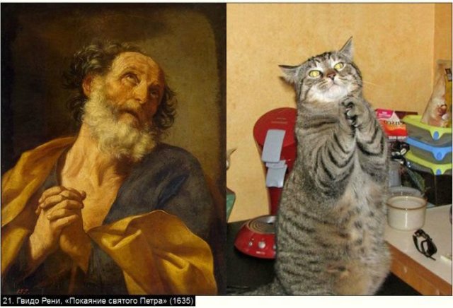 «Мяу» особого назначения или Весенняя кошкотерапия