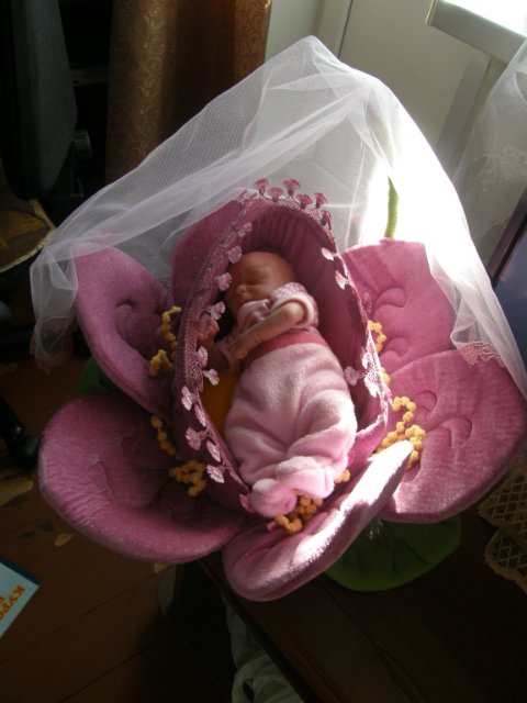 Малышня и люлечки-колясочки