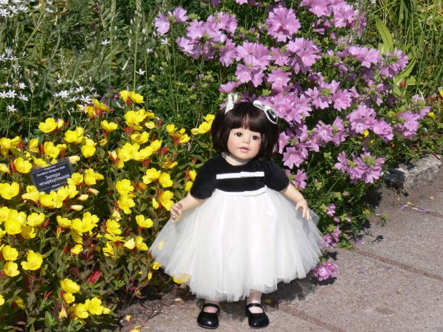 Прогулка в Ботаническом саду Санкт Петербурга. Часть 3. Садовая клумба