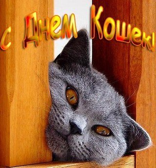 Наступила весна — Болталка и разговоры обо всем: жизнь (фото 8)