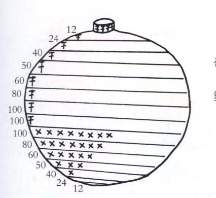 Наш осенний "урожай" — Другие хобби и увлечения: сад
