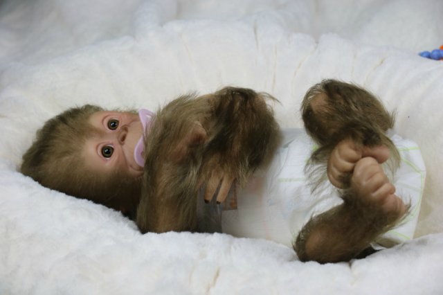 Мартышка - малышка... Куколка реборн Виктории Вишни (фото 4)