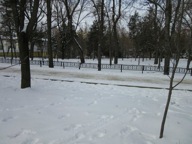 Чем бы заняться юному лорду 30 декабря