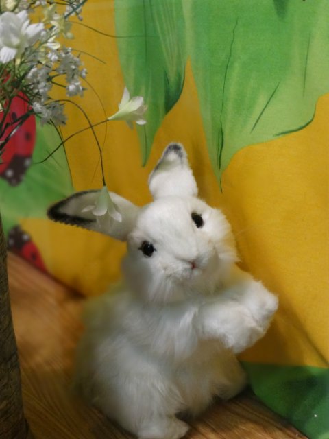 Выставка кукол "Русские сказки" в Екатеринбурге | Бэйбики Выставка кукол "Русские сказки" в Екатеринбурге