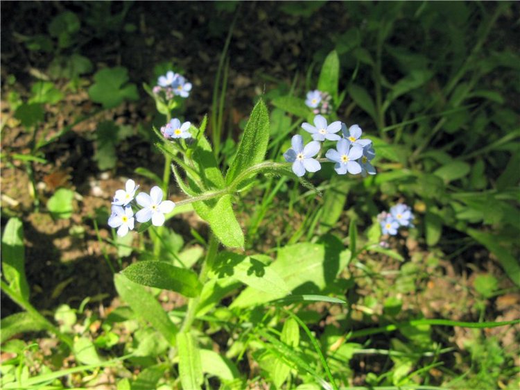Субботний вояж. Заключительная часть