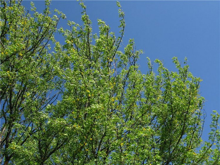 Субботний вояж. Часть первая