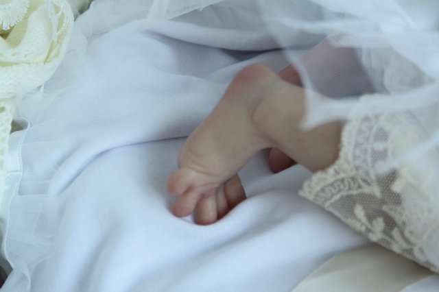 Виктория кукла-реборн Элины Кудрявцевой (фото 7)