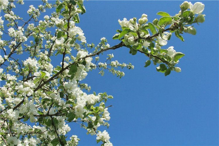 Субботний вояж. Третья часть | Бэйбики Субботний вояж. Третья часть