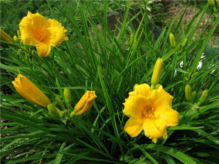 Кашин - город русского сердца. Часть седьмая. Вознесенский кафедральный собор