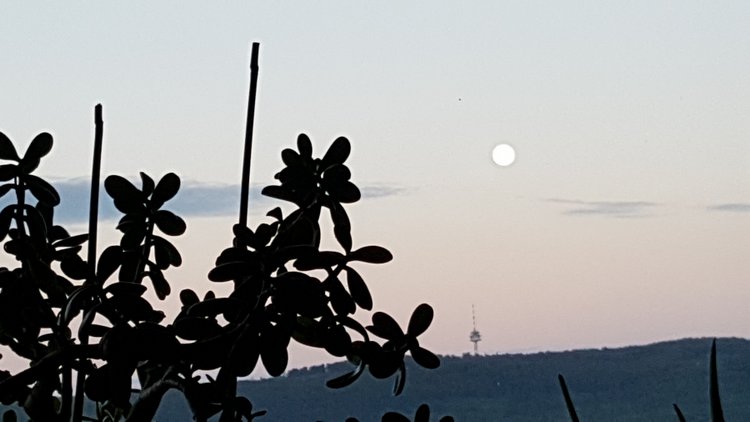 Вид из моего окна, KARLSRUHE