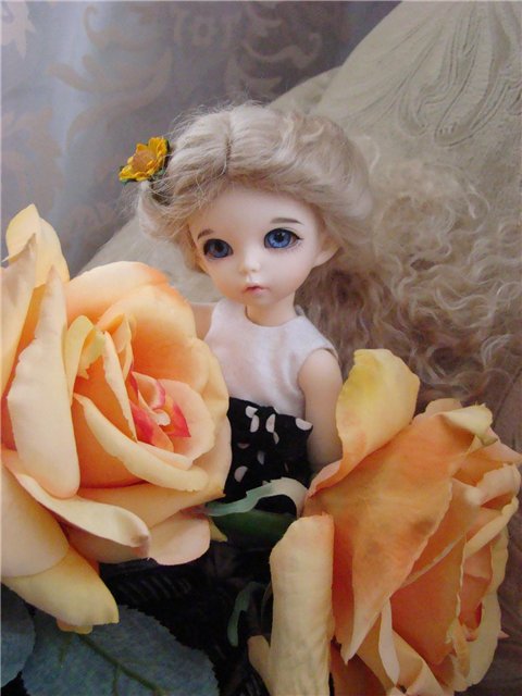 Моя воображуля Николь (или заберите у меня фотоаппарат))))) (фото 7)