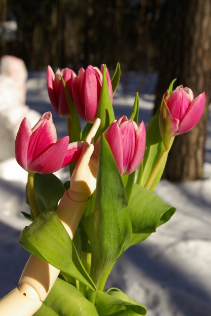 Алиса Льюиса Кэрролла или Алиса Ким Лашер?! Просто Алиса (фото 6)