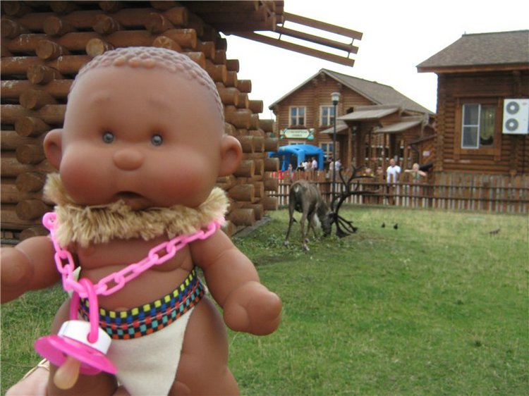 Пупсы Nines Artesanal D'Onil в Ижевском зоопарке (фото 9)