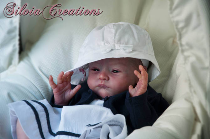 Новый молд Will от Натали Шолль