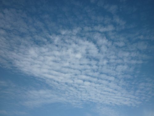 Золотая осень. Старый Оскол, Белгородская область