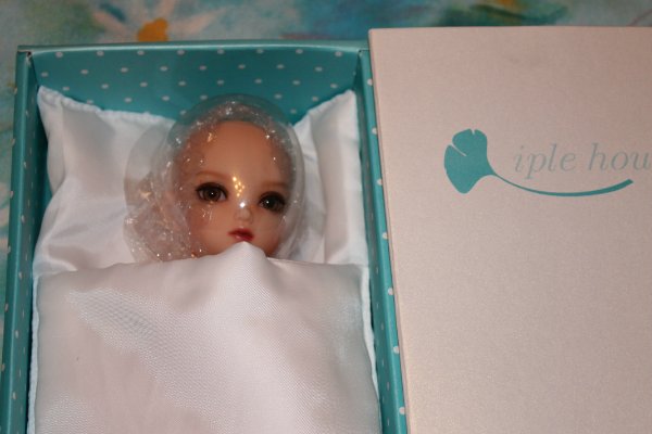 Моя первая БЖД Хлоя BID Iplehouse (фото 3)