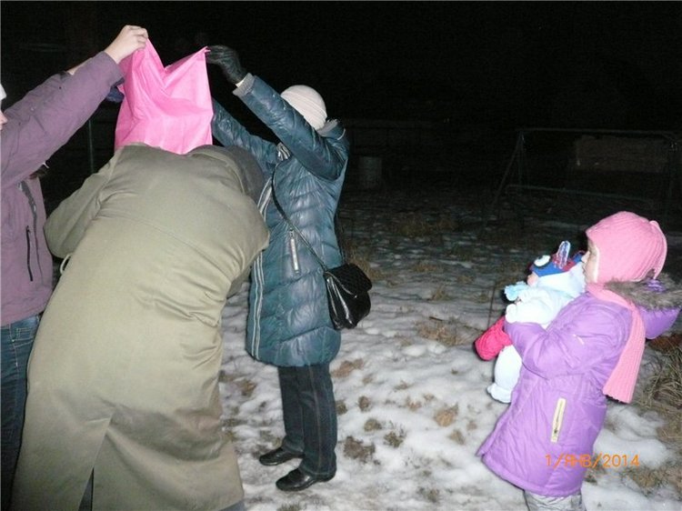 С новым годом — Домашние коллекции кукол: фото собраний