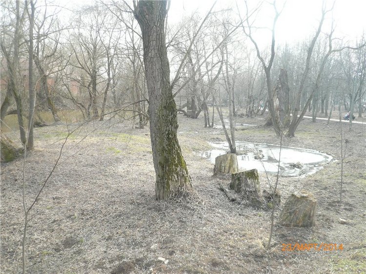 Предпраздничное настроение (фото 8)