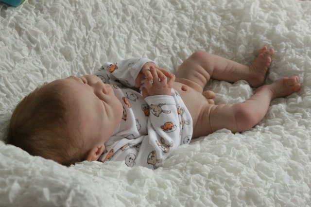 Мальчик Ноэльчик... Куколка реборн Виктории Вишни