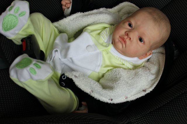 Зайка Патрик. Кукла реборн Катерины Осиповой-Коняевой