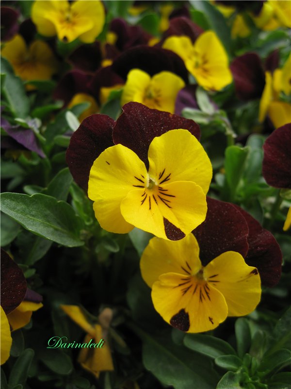 Открытие дачного сезона. Натали кукла Galoob Baby Face (фото 8)