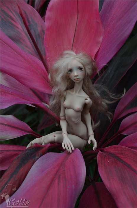 В Саду. Феникс, Лида Снуль (фото 2)