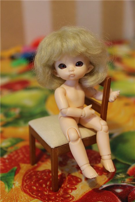 Пополнение в горшковой группе :) (Fairyland pukipuki Niko, Ante, Ruby) (фото 2)