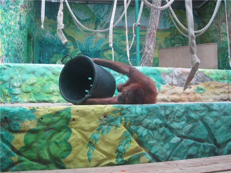 Галчонок и лето. Винтажна куколка СССР Галя