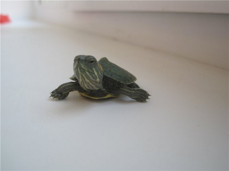 Галчонок и лето. Винтажна куколка СССР Галя