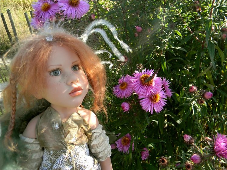 В сентябре пришло к нам лето! Мальва Zwergnase, мой рыжий эльфик