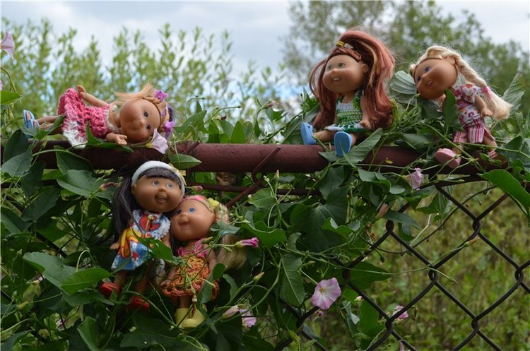 Лето прошло, а фоточки остались (фото 10)