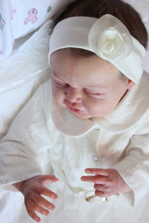 Мои малышки реборн! Приглашаем всех в гости