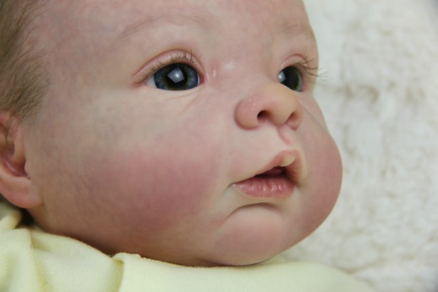 Софийкин! Кукленок реборн Виктории Вишни