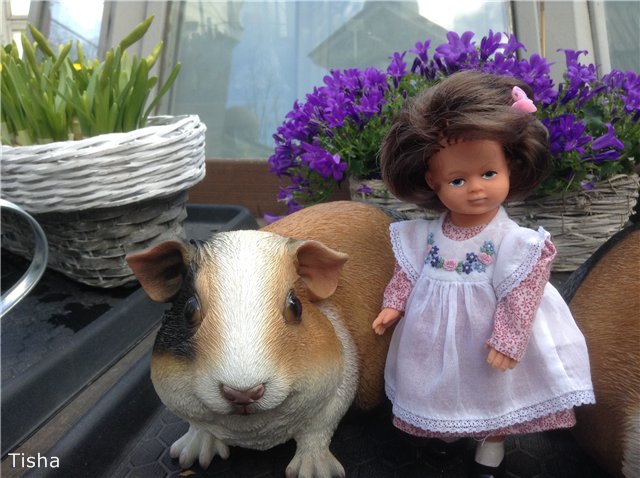 Маленькие садовники или весна в Аптекарском огороде (фото 4)