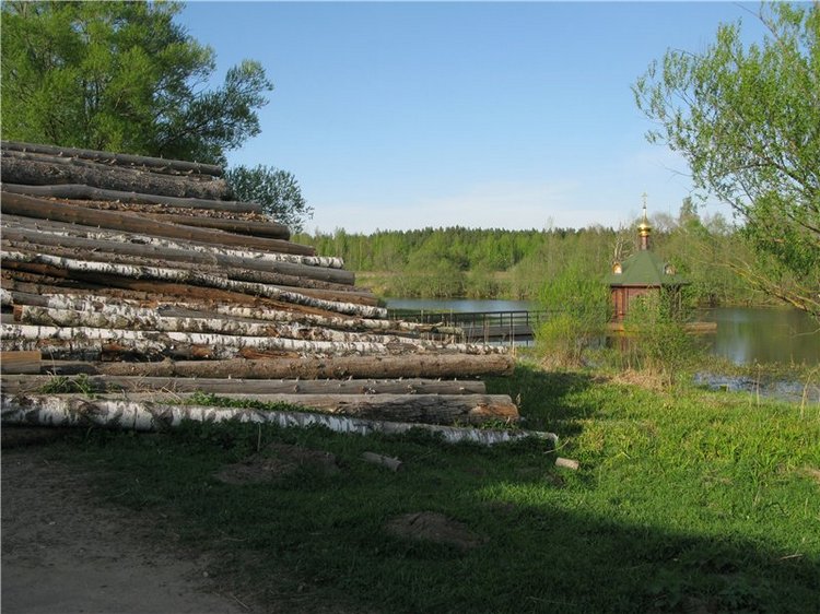 Прогулка с Райли. Riley от автора Helen Kish