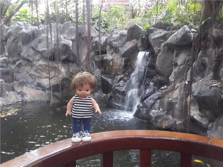 Испания. Тенерфе. Часть 2. Лоро парк (фото 7)