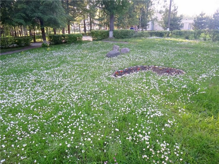 Кашин - город русского сердца. Часть пятая. Город - курорт, Санаторий "Кашин"