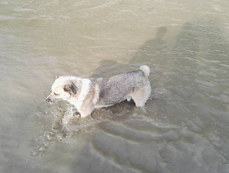 Те, кто нас любит и в домашнем халате, и без косметики, и растрепанными | Бэйбики Те, кто нас любит и в домашнем халате, и без косметики, и растрепанными
