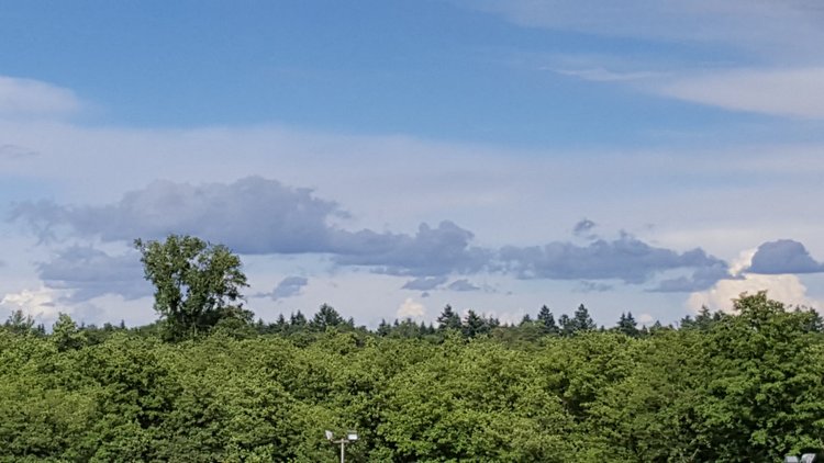 Вид из моего окна, KARLSRUHE