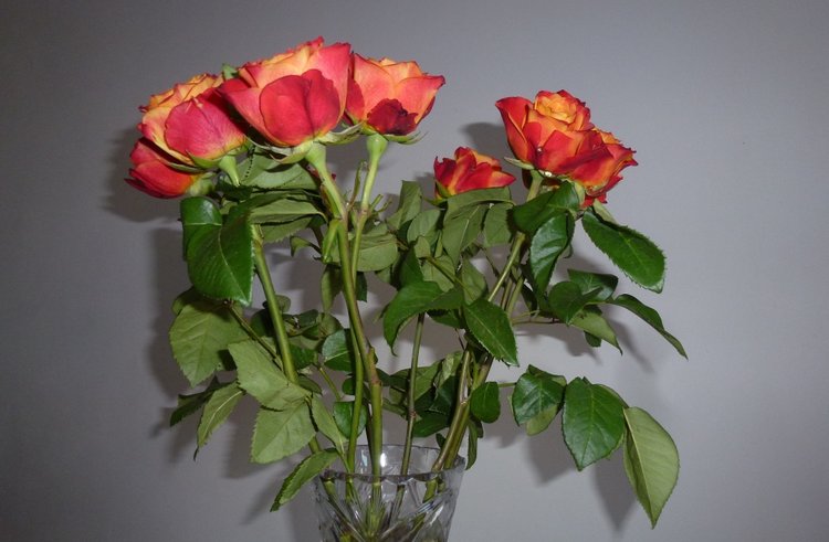 Живые цветы и куклы! С наступающим праздником (фото 10)