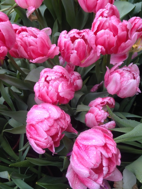 Фотосессия куклы ГДР Косолапки в Аптекарском огороде