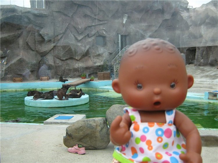 Пупсы Nines Artesanal D'Onil в Ижевском зоопарке (фото 6)